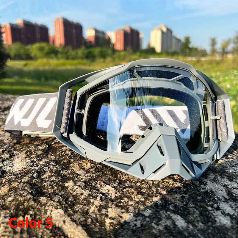 WindShield Sports Goggles