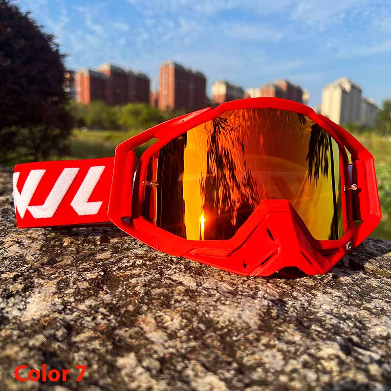 WindShield Sports Goggles