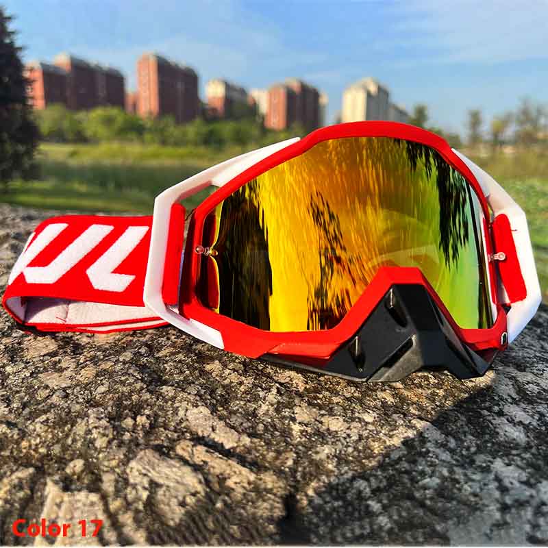 WindShield Sports Goggles